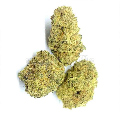 CBD Květy Exotic haze 20%