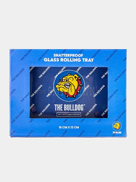 Bulldog Glass Tray 120x160mm