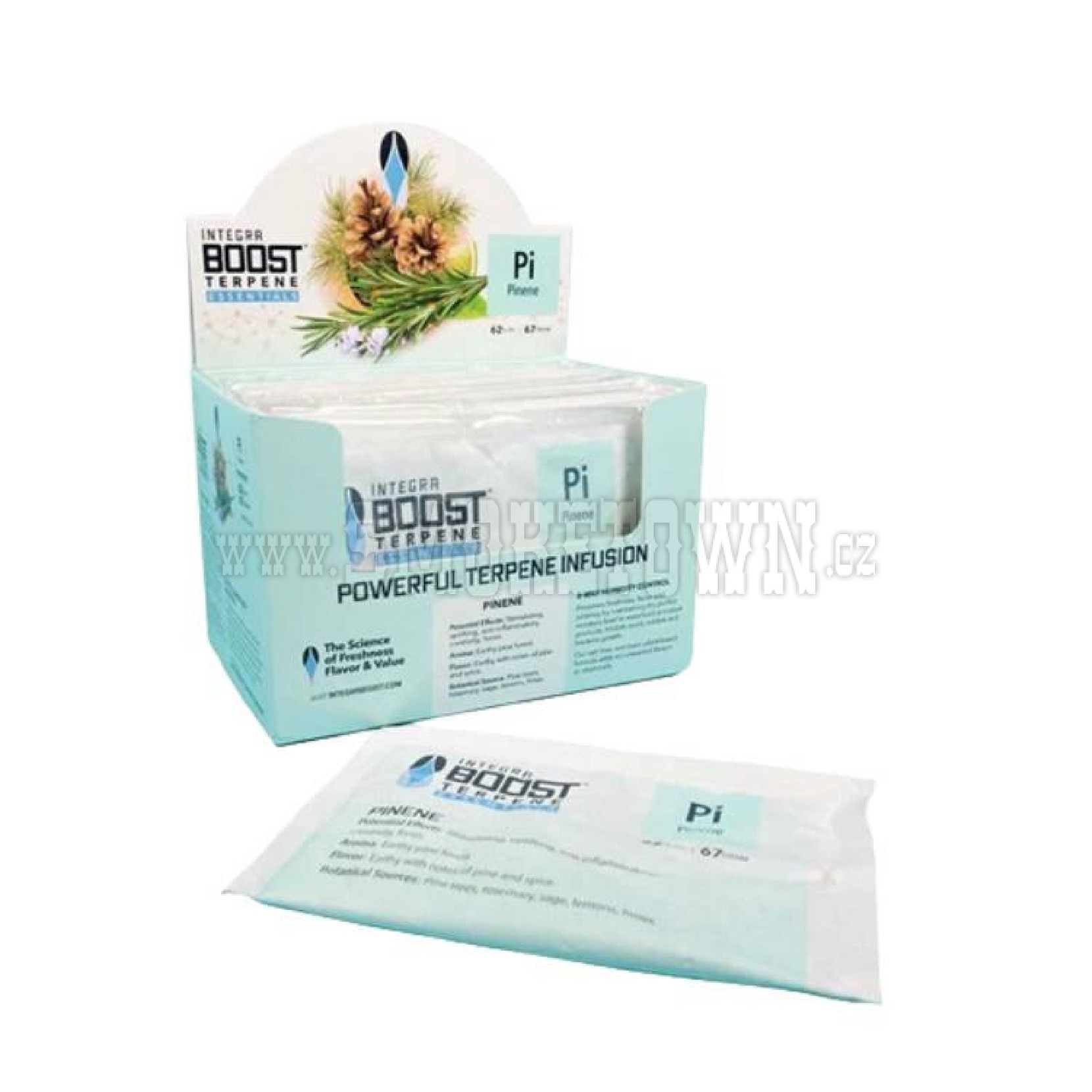Integra Boost 62% Terpene Essentials Pinene 67g