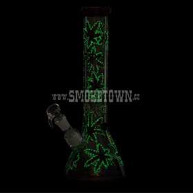 GG Beaker Glass Bong 32cm SG29 2