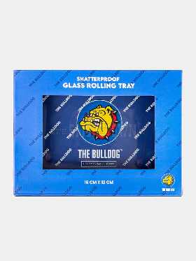 Bulldog Glass Tray 120x160mm 2