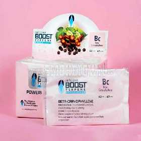 Integra Boost Terpene Essentials Pinen 67g 62%
