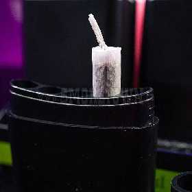 5x 10mm Preroll cace Black Leaf
